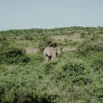 komodo National Park
