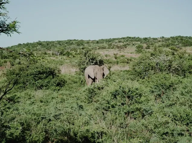 Komodo National Park