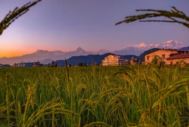 Nepal 7 Days Tour Package