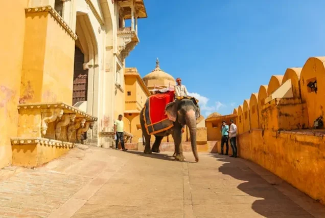 Rajasthan Tour Packages